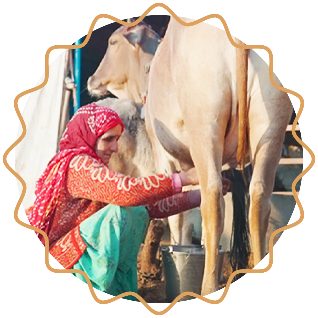 Milking with care
